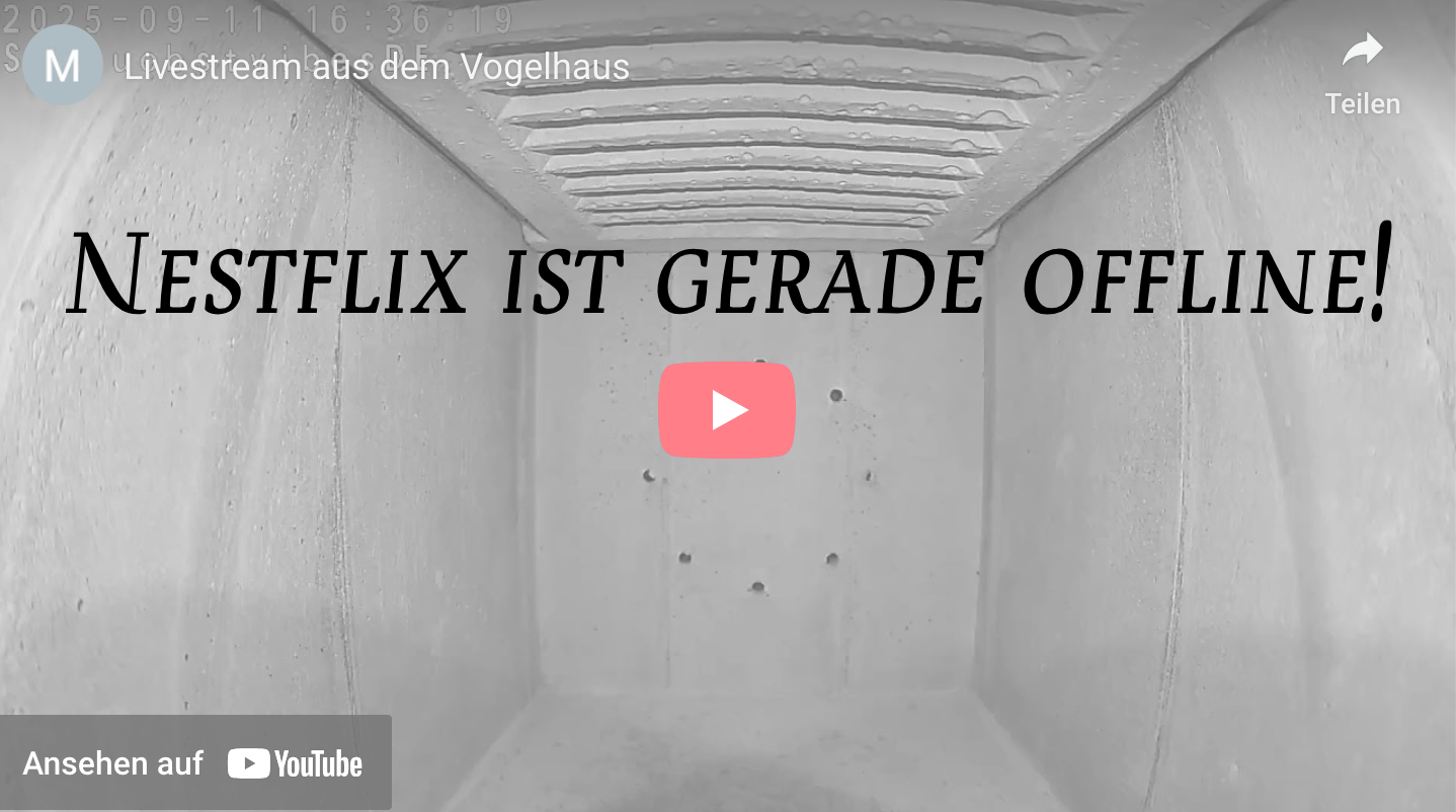 Nestflix ist gerade offline